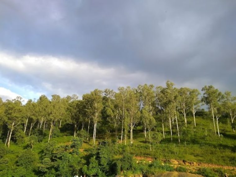 Chaparai Waterfalls-3